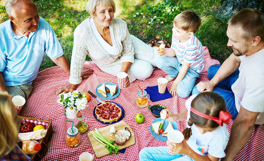 family having a picnic